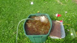 Garden Tour July 19th Part 3
