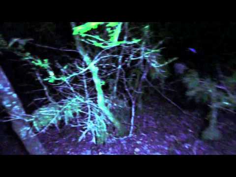 Sonic Area — SONIC AREA Music For Ghosts - Official trailer teaser # 2
