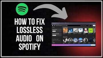 How to Fix Lossless Audio Feature Not Showing On Spotify (Quick-Fix)