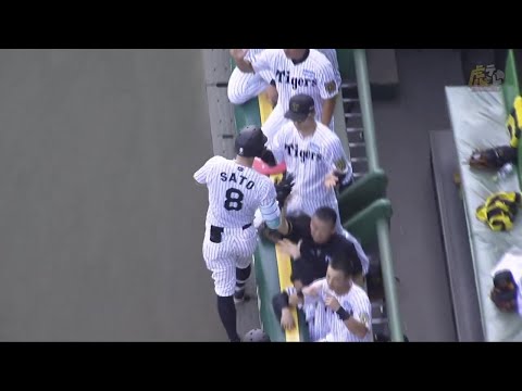 阪神 2点セット ☆6月4日（日） 6/4（日） 阪神vsロッテ 甲子園 3塁側