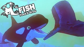 Feed and Grow Fish Gameplay German - Größter Orca Wal der Welt