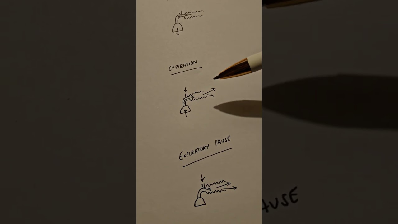 Mapleson E breathing system for the FRCA 