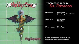 Motley Crue - Dr Feelgood (Bass cover)