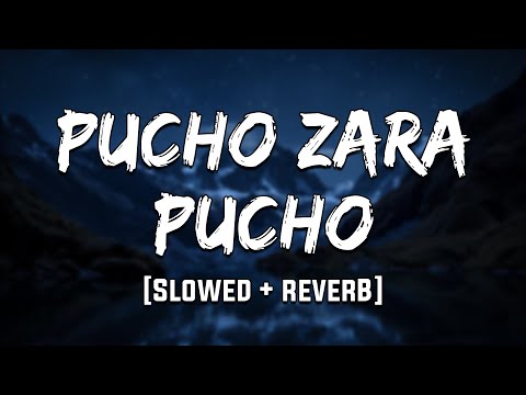 Pucho Zara Pucho | Raja Hindustani | [ Slowed + Reverb ] | Mood 90's