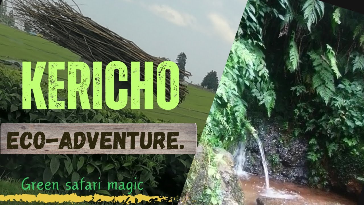 Sustainable Safari Magic in Kericho Gaga Tours Kenya's Eco Friendly Adventure