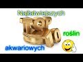 10 Najłatwiejszych roślin akwariowych.