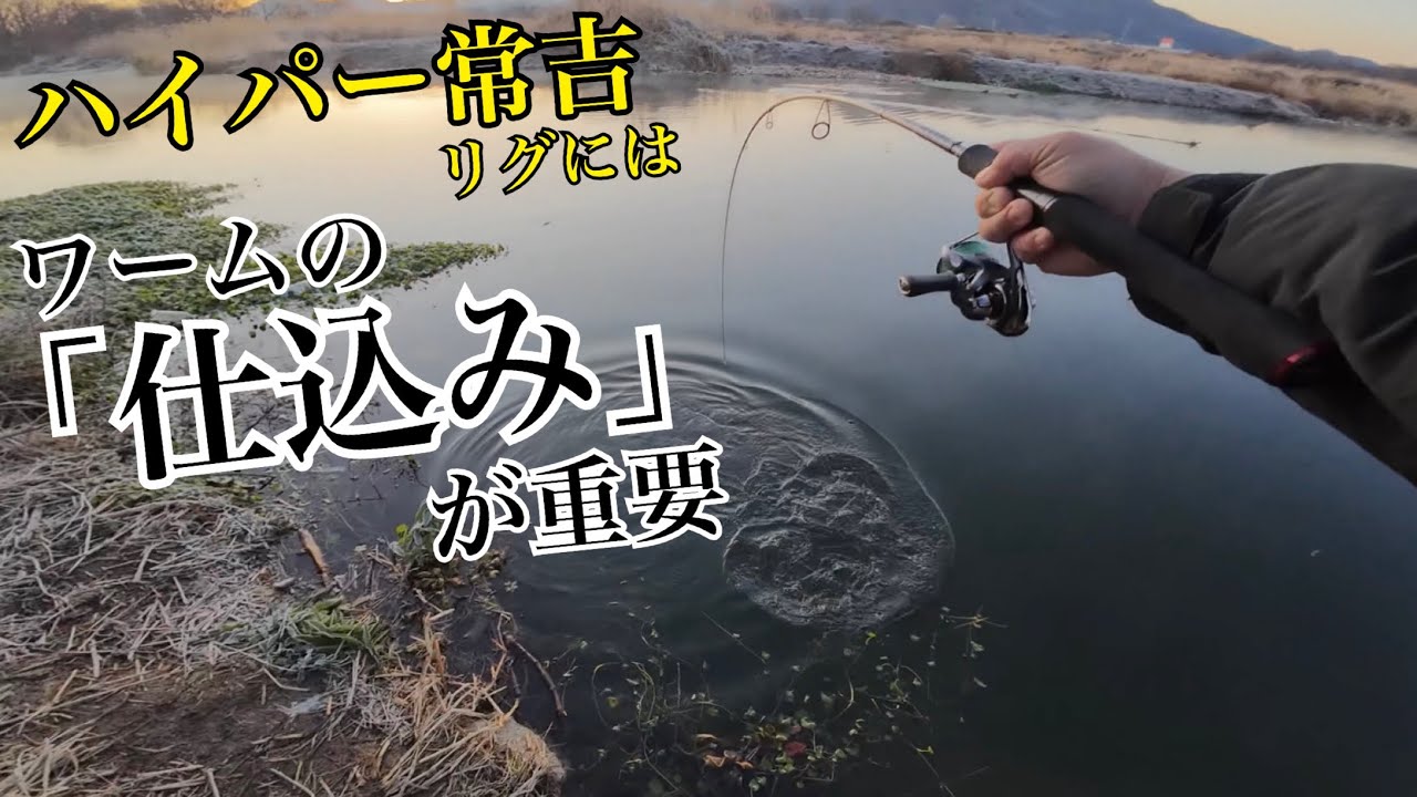 ハイパー常吉リグはワームの「仕込み」が重要