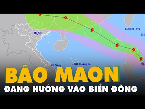 Bão Maon giật