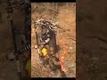 ResoluteCounterflow #blackmythwukonggameplay #blackmythwukonggame #parry #gamingshorts #gaming