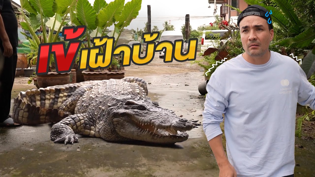 ยอมใจครับ เลี้ยงต้าวเข้ไว้เฝ้าบ้าน | Boriboon Family