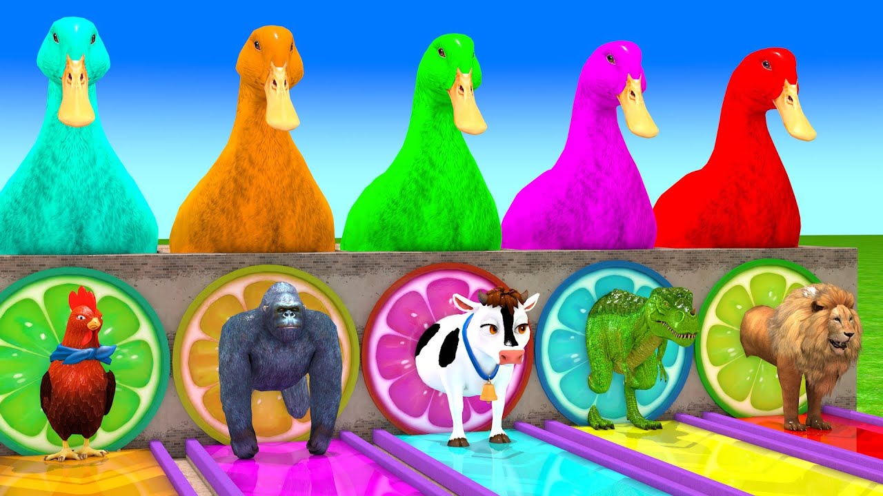 Long Slide Game with Cow Elephant Gorilla Hippopotamus Tiger 3d Animal Game Funny 3d Animals