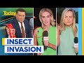 Even the Today reporters aren&#39;t safe from the Aussie bug invasion | Today Show Australia