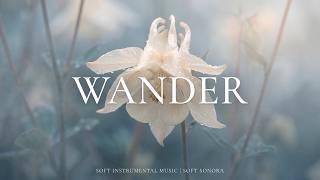 WANDER — Soft Instrumental Music for Study, Work and Peaceful Rest screenshot 1