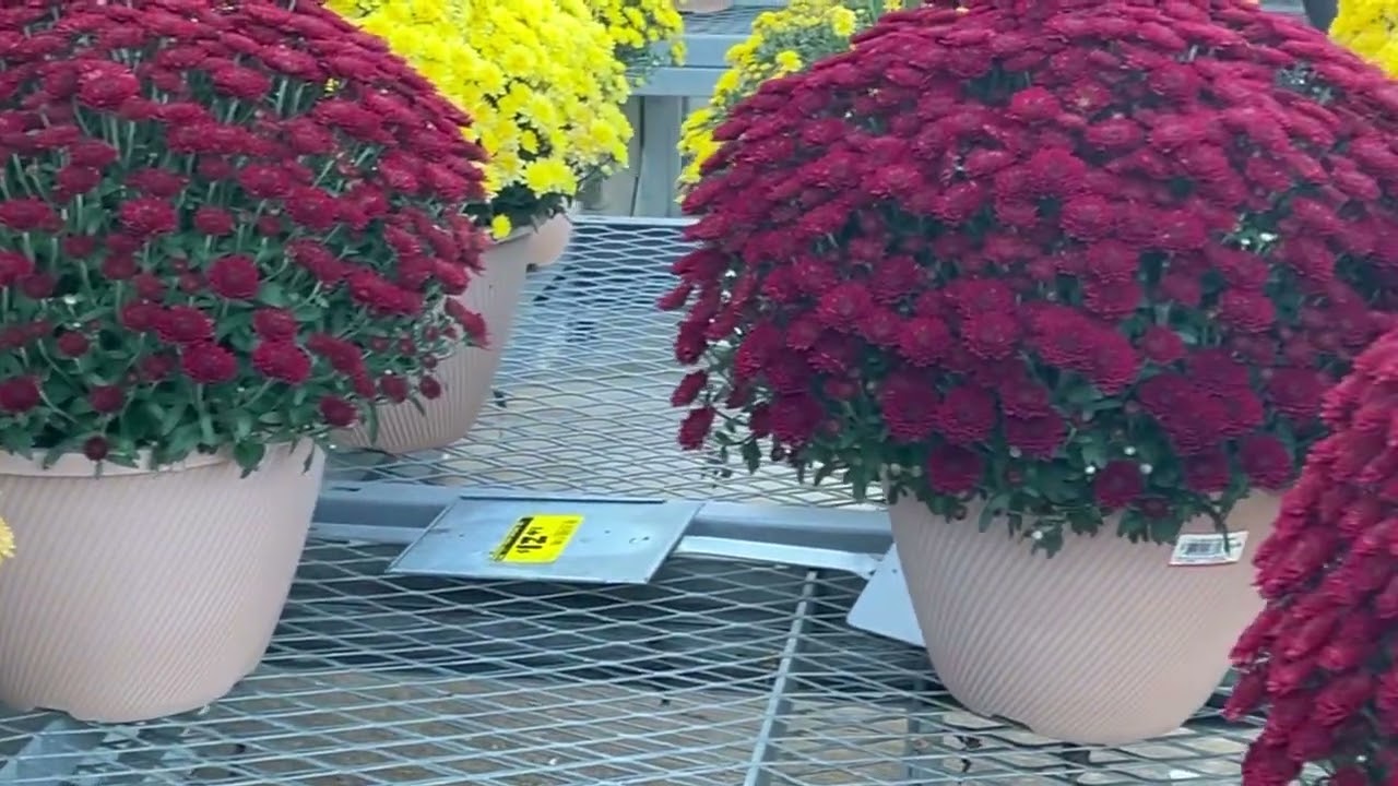 Tour Home Deepo🥦🪴🌴🌺🌺 Hwy 124