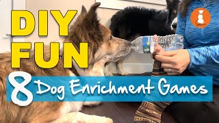 8 Simple DIY Dog Games for Confidence screenshot 3