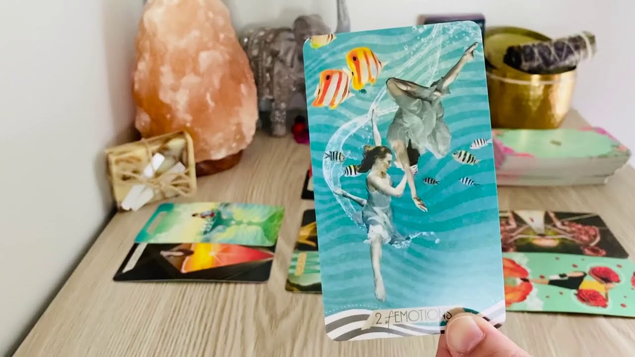 Virgo! Next 24 Hrs - 