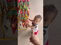 Em bé tìm thấy mèo đội nón kìa #shortvideo