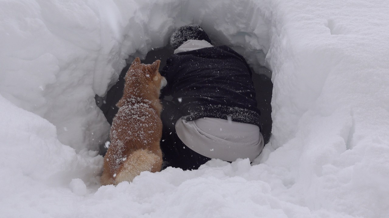 記録的大雪にもう我慢できません。。