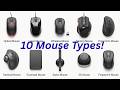 Do You Know All These Mouse Types? 10 Types Explained"