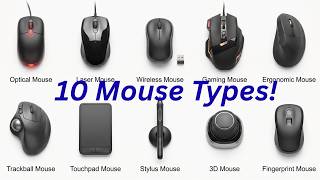 Do You Know All These Mouse Types? 10 Types Explained"