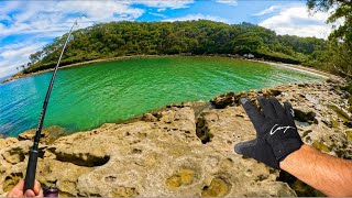 Exploring a crazy, secret flathead & Bream spot! (first top water bream)