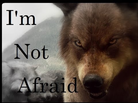 Twilight Wolves - I'm not afraid