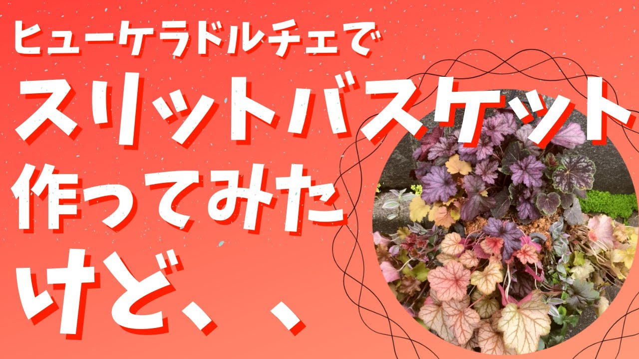 ヒューケラドルチェ スリットバスケット 大きさを揃えないとこうなる 一般人の現実的な作例 Youtube
