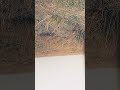 # mini vlog #bollywood #smartphone #smartphone #gk #edit #roushan