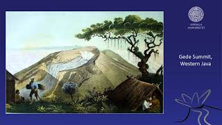 Celebrity The JAVA Works by F.W. Junghuhn (1809 - 1864) - The Humboldt of Java (1809 - 1864) Wealth