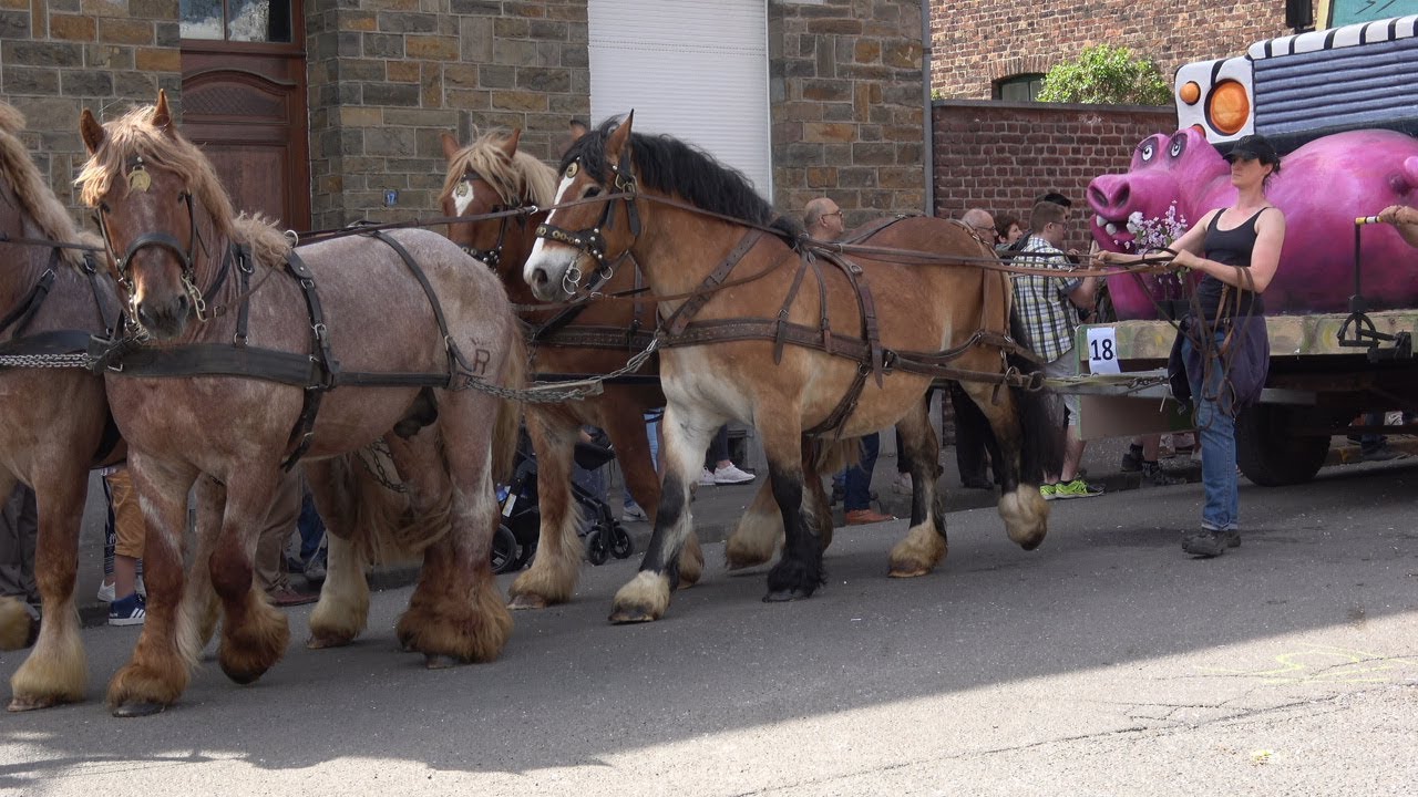 Cavalcade de HERVE 2019