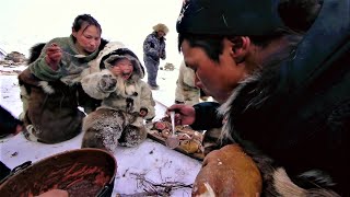 from breakfast to dinner. a day with north nomads in arctic tundra