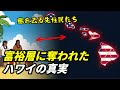 富裕層に奪われたハワイの真実