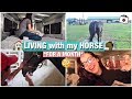 LIVING AT THE VET with MY HORSE for a MONTH! | My Pregnant Horse Pt.12