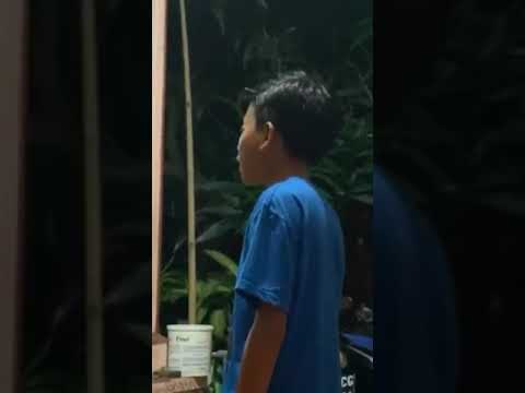 Allo Na Tambus  I  Lirik Lagu Mandar