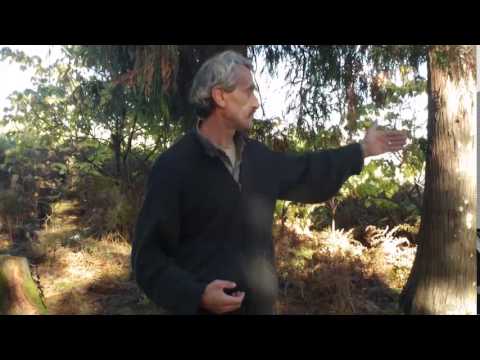 აკეთელები ავარიული გზის შეკეთებას ითხოვენ