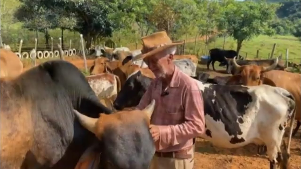 COM MAIS DE 82 ANOS DE IDADE ELE AINDA ESTA NA ATIVA NA ROÇA FAZ TUDO SOZINHO 