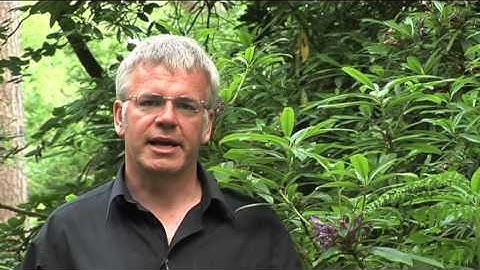 Free Up More Time By Learning To Delegate Effectively -- Time Management For Small Business