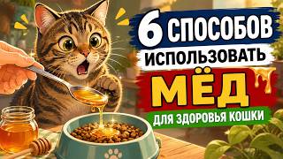 Что Будет, Если Дать Кошке Мёд? 6 Малоизвестных Фактов и Польза screenshot 1