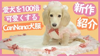 【可愛すぎる犬服ブランド】CanNana（キャンナナ）新作紹介！！
