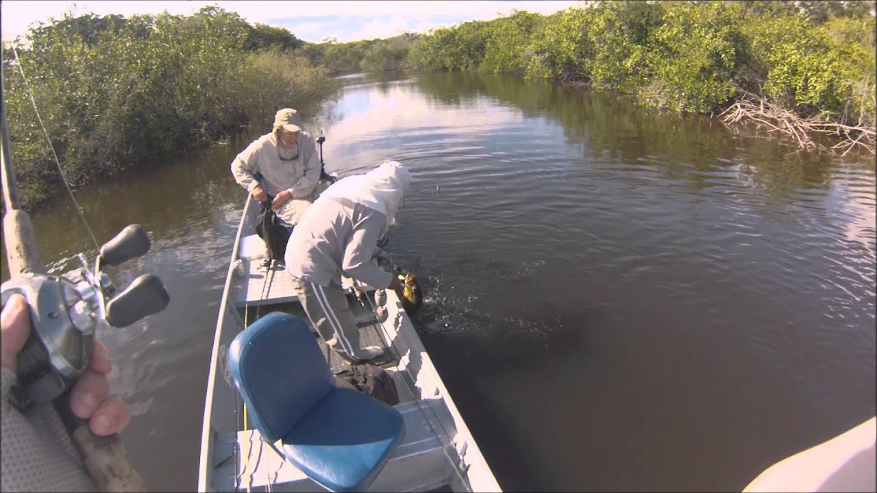 The Best Peacock Bass Fishing Amazon Jungle YouTube
