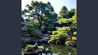 Ill Just Dream Of When