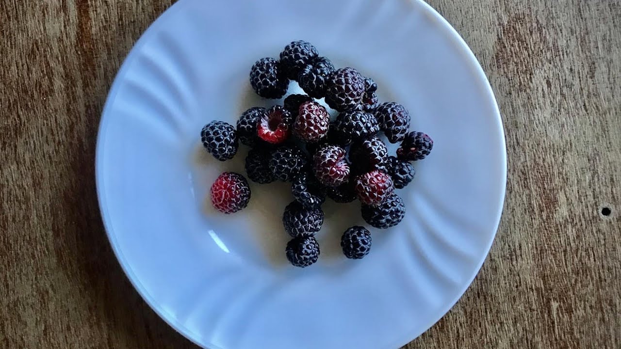 5 Vegan Staples That Go Bad Without Warning (Yet Always Make the List)