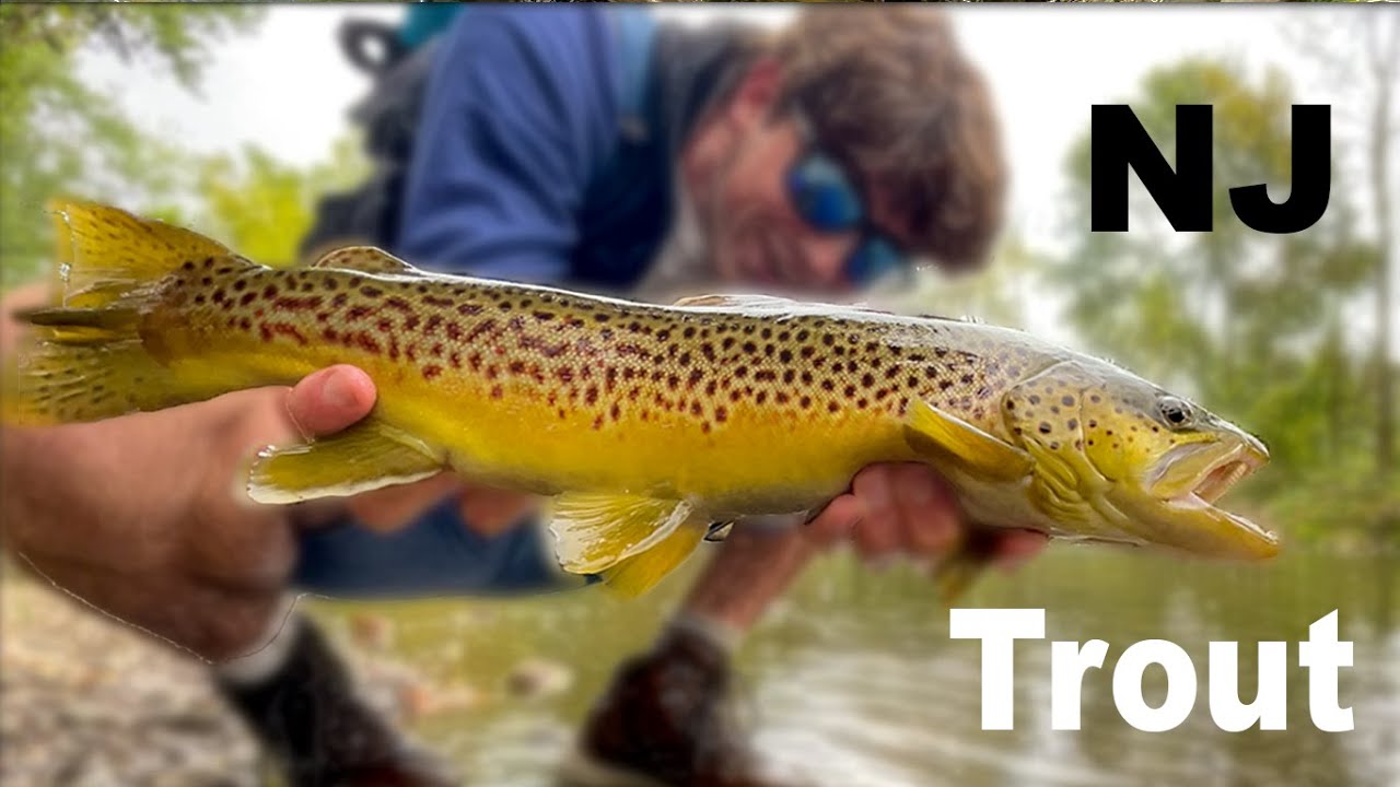 New Jersey’s Hidden Gem Trout Spots! Fall Fishing Techniques (How to