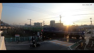 【JR西日本山陽本線と広島電鉄宮島線】GoPro MAXの360度VRビデオ平面書き出し♪しかも後半で貨物列車ゆっくり通過♪