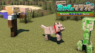 【Minecraft/ちゃむクラフト】内装の計画は無いそうです【赤熊猫行燈/CHUMPLANET】