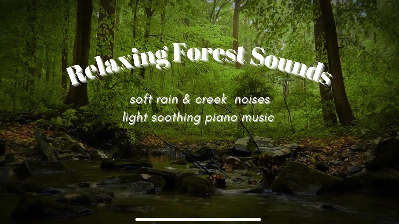 Relaxing and Soothing Sounds of the Forest | light piano music for deep ...