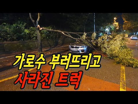 2612회. 후진하던 트럭이 가로수를 들이 받아 부러진 나무가 승용차를 덮쳐 수리비 500만원. 불법주차를 이유로 80:20이라고 합니다. 괘씸한 트럭 운전자를 혼낼 방법은?