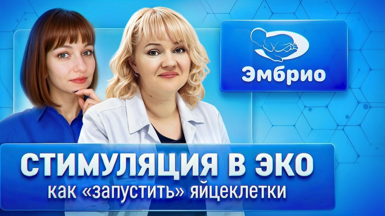 Стимуляция овуляции в ЭКО: честно, подробно, без мифов