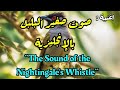اغنية صوت صفير البلبل بالإنجليزية The Sound Of The Nightingale S Whistle 