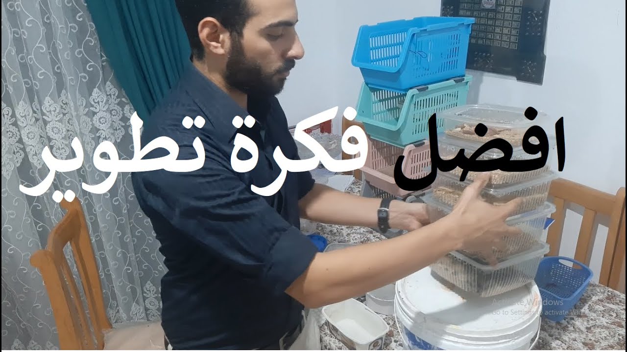 (16)افضل و اوفر فكرة عالمية لتربية الميل ورم الفيديو المنتظر (تطوير)